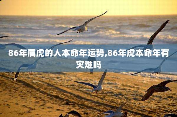 86年属虎的人本命年运势,86年虎本命年有灾难吗