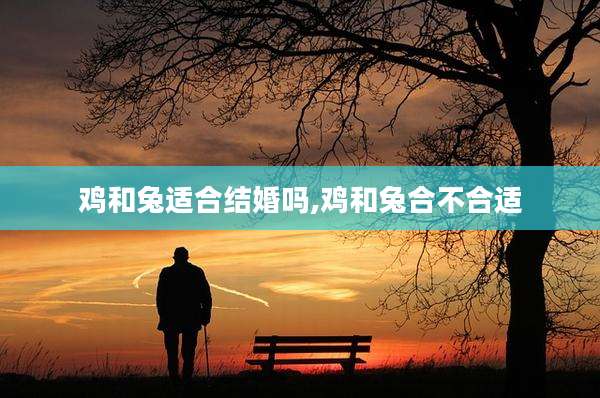 鸡和兔适合结婚吗,鸡和兔合不合适