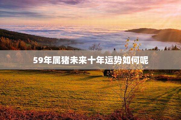 59年属猪未来十年运势如何呢