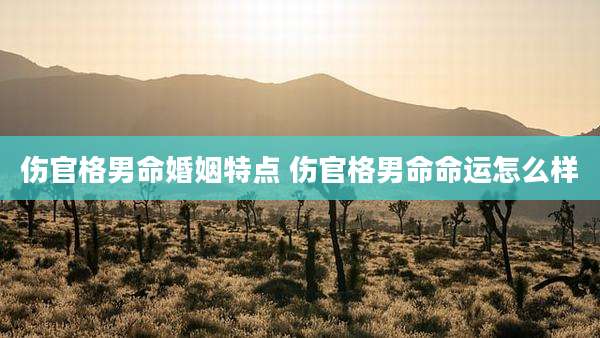 伤官格男命婚姻特点 伤官格男命命运怎么样