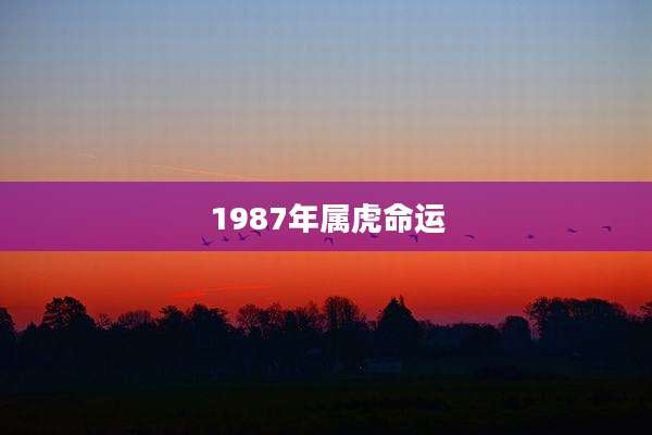 1987年属虎命运
