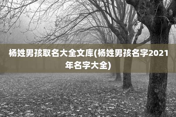 杨姓男孩取名大全文库(杨姓男孩名字2021年名字大全)