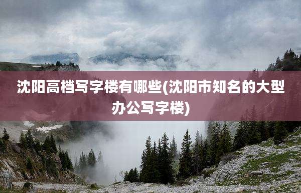 沈阳高档写字楼有哪些(沈阳市知名的大型办公写字楼)