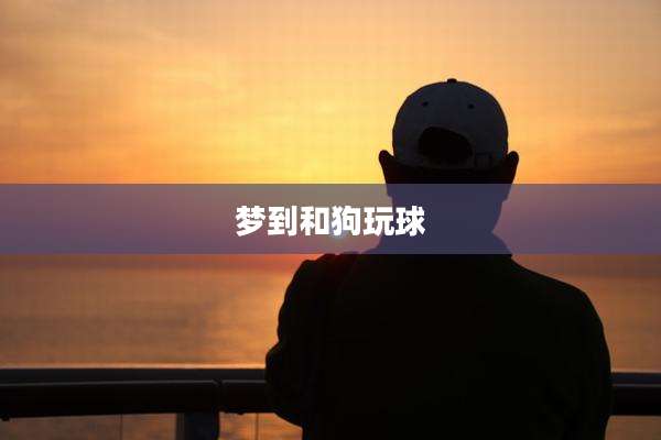 梦到和狗玩球