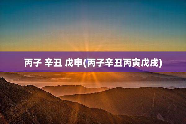 丙子 辛丑 戊申(丙子辛丑丙寅戊戌)