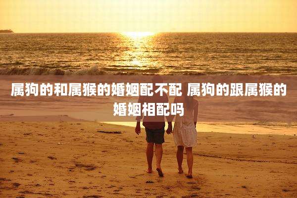 属狗的和属猴的婚姻配不配 属狗的跟属猴的婚姻相配吗