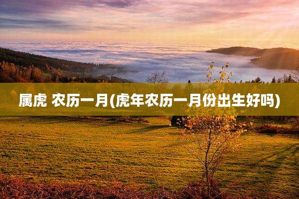 属虎 农历一月(虎年农历一月份出生好吗)