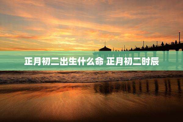 正月初二出生什么命 正月初二时辰