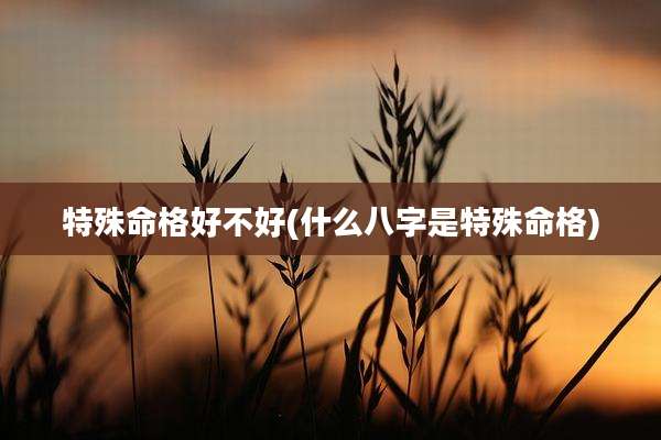 特殊命格好不好(什么八字是特殊命格)