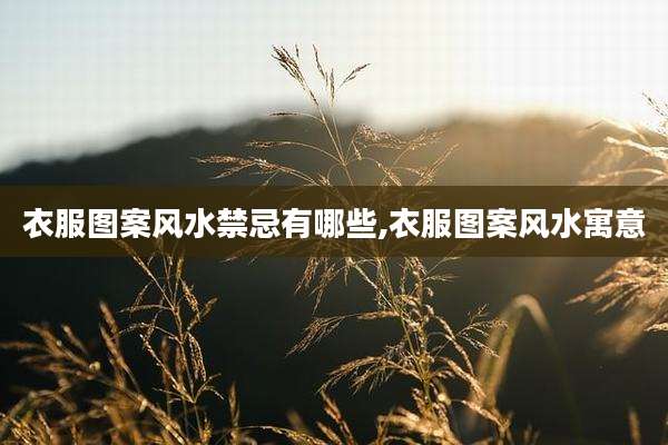 衣服图案风水禁忌有哪些,衣服图案风水寓意