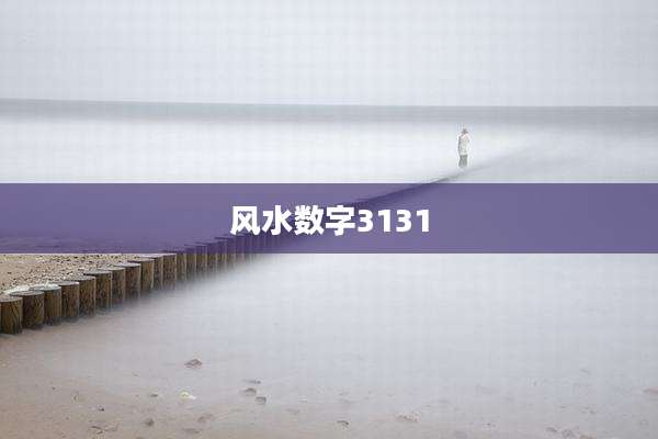 风水数字3131