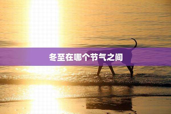 冬至在哪个节气之间