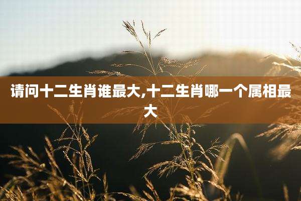 请问十二生肖谁最大,十二生肖哪一个属相最大