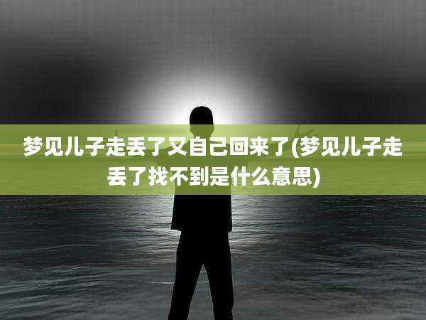 梦见儿子走丢了又自己回来了(梦见儿子走丢了找不到是什么意思)