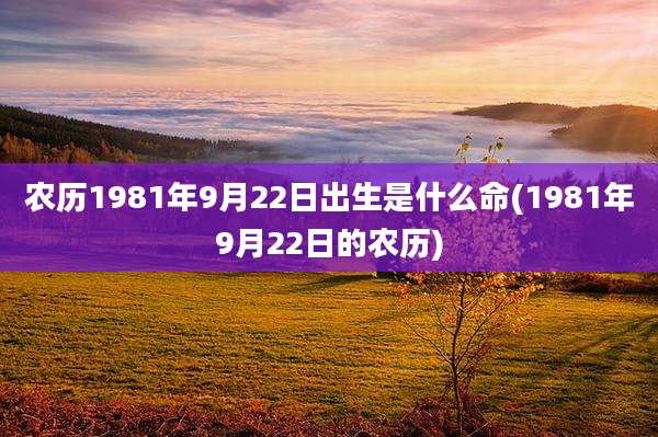农历1981年9月22日出生是什么命(1981年9月22日的农历)