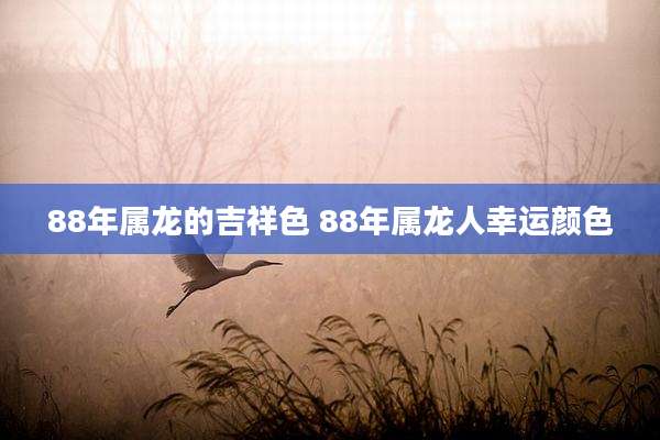 88年属龙的吉祥色 88年属龙人幸运颜色