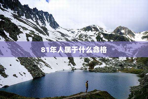 81年人属于什么命格