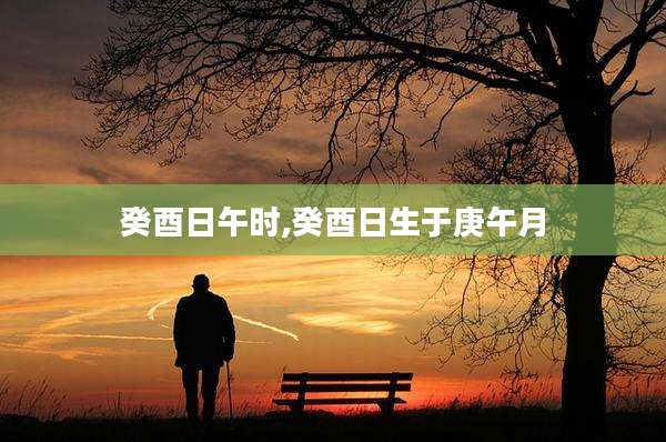 癸酉日午时,癸酉日生于庚午月