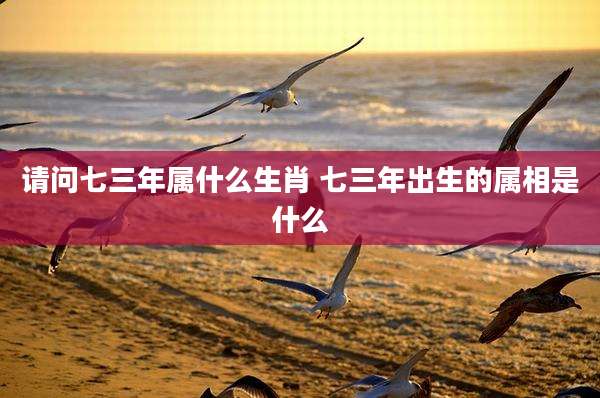 请问七三年属什么生肖 七三年出生的属相是什么