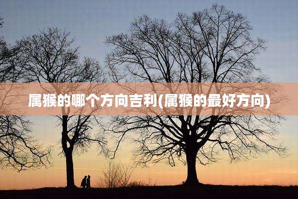 属猴的哪个方向吉利(属猴的最好方向)