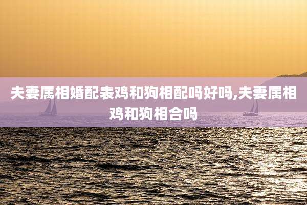 夫妻属相婚配表鸡和狗相配吗好吗,夫妻属相鸡和狗相合吗