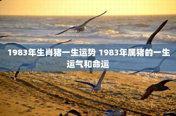 1983年生肖猪一生运势 1983年属猪的一生运气和命运