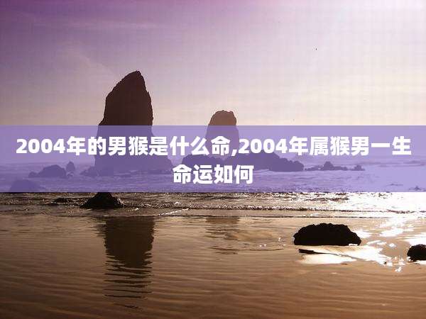 2004年的男猴是什么命,2004年属猴男一生命运如何