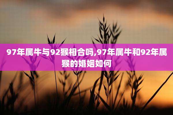 97年属牛与92猴相合吗,97年属牛和92年属猴的婚姻如何