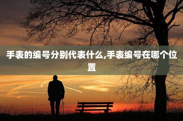 手表的编号分别代表什么,手表编号在哪个位置