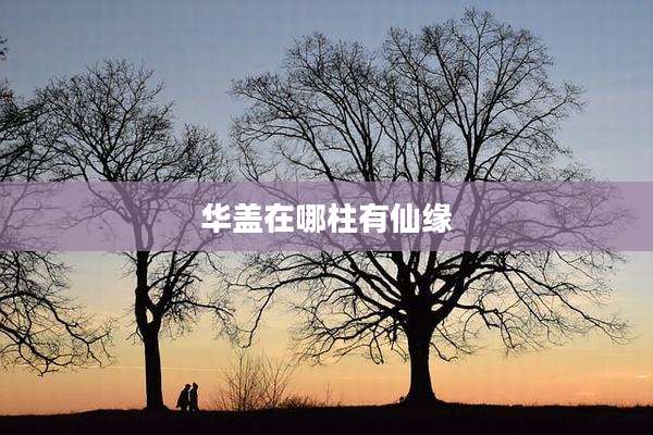 华盖在哪柱有仙缘