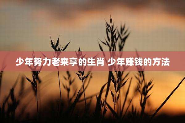 少年努力老来享的生肖 少年赚钱的方法