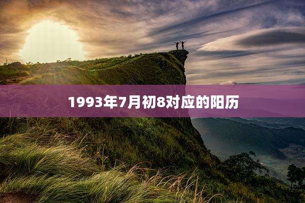 1993年7月初8对应的阳历