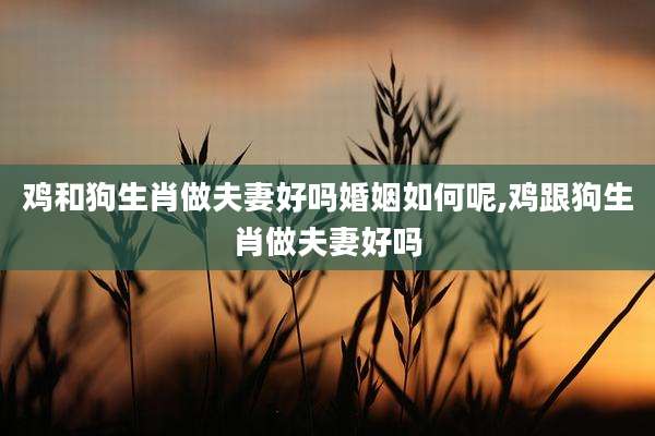 鸡和狗生肖做夫妻好吗婚姻如何呢,鸡跟狗生肖做夫妻好吗