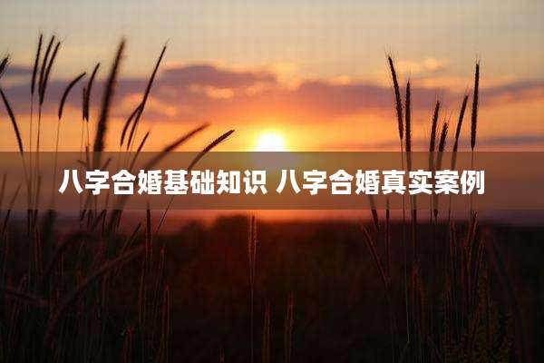 八字合婚基础知识 八字合婚真实案例