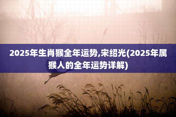 2025年生肖猴全年运势,宋绍光(2025年属猴人的全年运势详解)