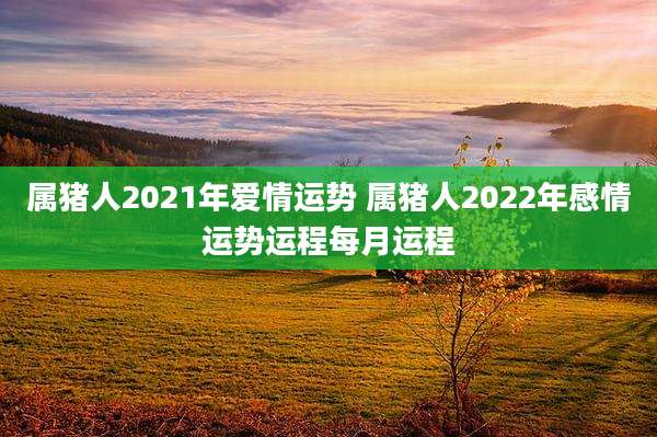 属猪人2021年爱情运势 属猪人2022年感情运势运程每月运程