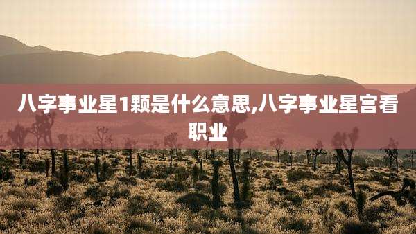 八字事业星1颗是什么意思,八字事业星宫看职业