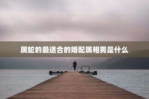 属蛇的最适合的婚配属相男是什么