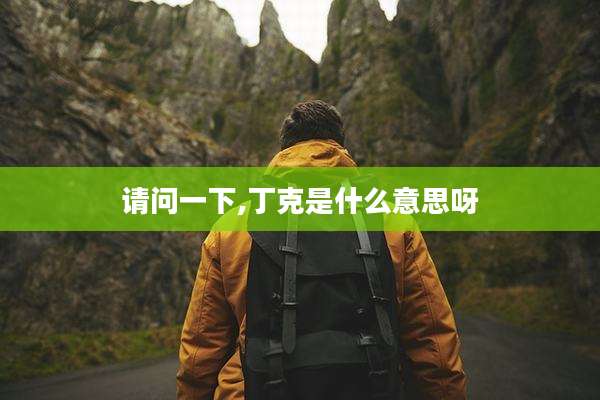 请问一下,丁克是什么意思呀