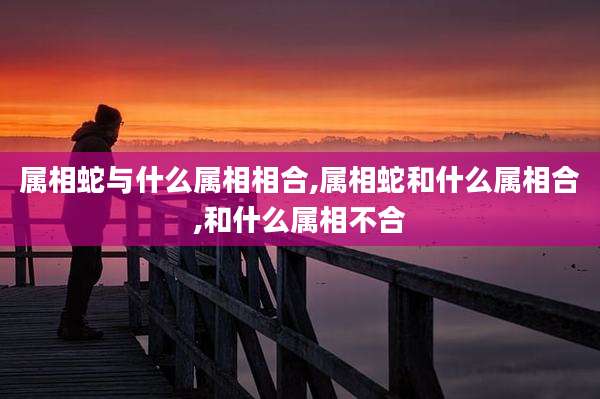 属相蛇与什么属相相合,属相蛇和什么属相合,和什么属相不合