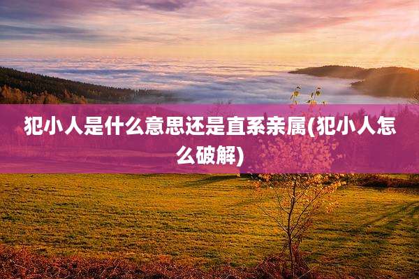 犯小人是什么意思还是直系亲属(犯小人怎么破解)
