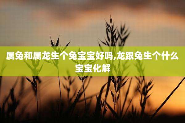 属兔和属龙生个兔宝宝好吗,龙跟兔生个什么宝宝化解