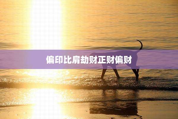 偏印比肩劫财正财偏财