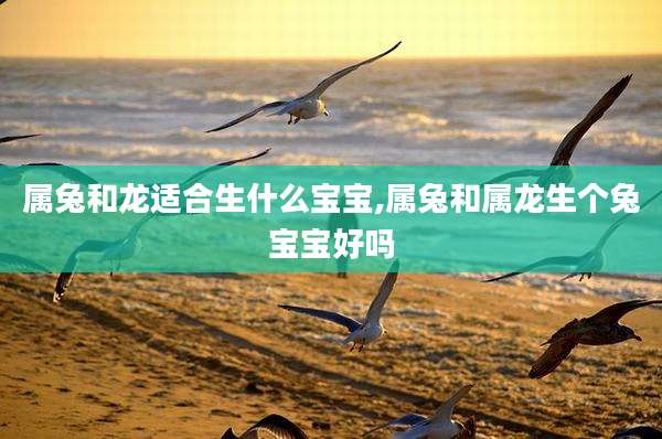 属兔和龙适合生什么宝宝,属兔和属龙生个兔宝宝好吗