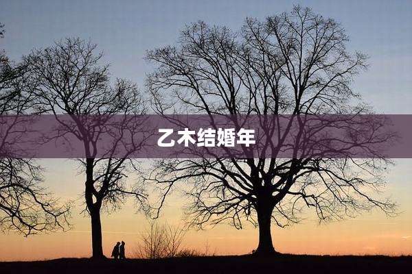 乙木结婚年