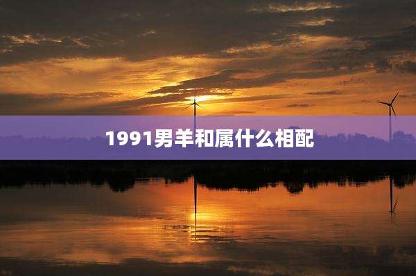 1991男羊和属什么相配