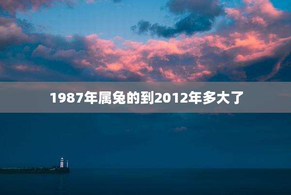 1987年属兔的到2012年多大了