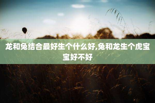 龙和兔结合最好生个什么好,兔和龙生个虎宝宝好不好