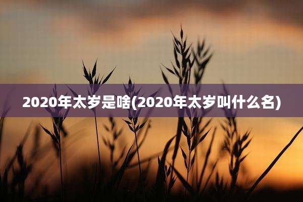 2020年太岁是啥(2020年太岁叫什么名)