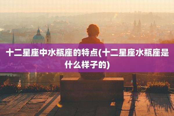 十二星座中水瓶座的特点(十二星座水瓶座是什么样子的)